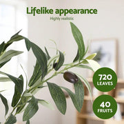 SportZone.co.nz Home & Garden > Artificial Plants > Artificial Trees Artiss 180cm Artificial Olive Tree Faux Trees Indoor Decor Artificial Plants Lifelike Plant 1.8M Artiss 180cm Artificial Olive Tree Faux Trees Indoor Decor Artificial Plants Lifelike Plant 1.8M