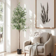 SportZone.co.nz Home & Garden > Artificial Plants > Artificial Trees Artiss 180cm Artificial Olive Tree Faux Trees Indoor Decor Artificial Plants Lifelike Plant 1.8M Artiss 180cm Artificial Olive Tree Faux Trees Indoor Decor Artificial Plants Lifelike Plant 1.8M