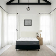 BroDeals Mattresses NZ Made Ava Pillow Top Mattress NZ Made Ava Pillow Top Mattress