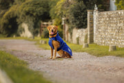 WeatherBeeta Clearance WeatherBeeta ComFiTec Premier Free Parka Deluxe Dog Coat Medium WeatherBeeta ComFiTec Premier Free Parka Deluxe Dog Coat Medium