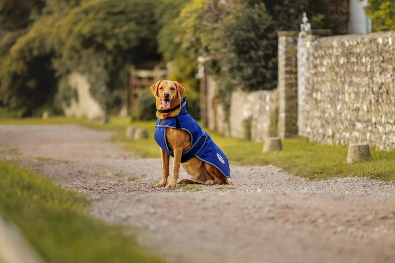 WeatherBeeta Clearance WeatherBeeta ComFiTec Premier Free Parka Deluxe Dog Coat Medium WeatherBeeta ComFiTec Premier Free Parka Deluxe Dog Coat Medium