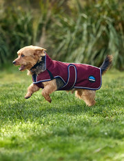 WeatherBeeta ComFiTec Premier Deluxe Waterproof Dog Coat by WeatherBeeta
