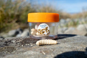 Balzer Fishing Lures Flavoured Bee Maggot (Natural) Flavoured Bee Maggot (Natural)