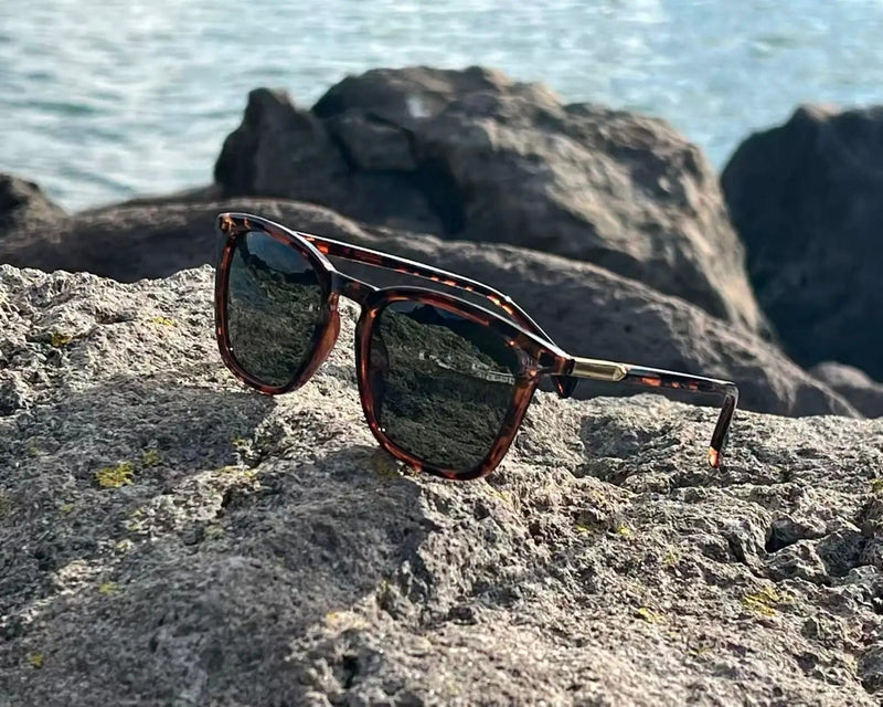 ISLA/Tortoise Green by URBA VISTA