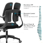 BroDeals Office furniture Splitz Office Chair Splitz Office Chair