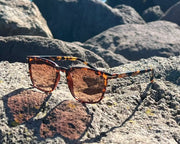 ELLIOT/Tortoise Orange by URBA VISTA
