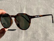 ARCHIE/Classic Tortoise by URBA VISTA
