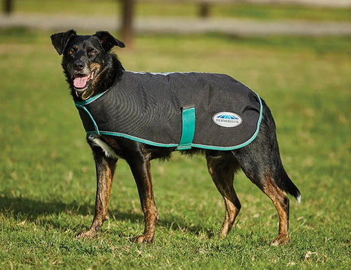 WeatherBeeta Clearance WeatherBeeta Green-Tec 900D Dog Coat Medium WeatherBeeta Green-Tec 900D Dog Coat Medium