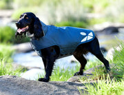 WeatherBeeta Explorer Lite Dog Coat by WeatherBeeta