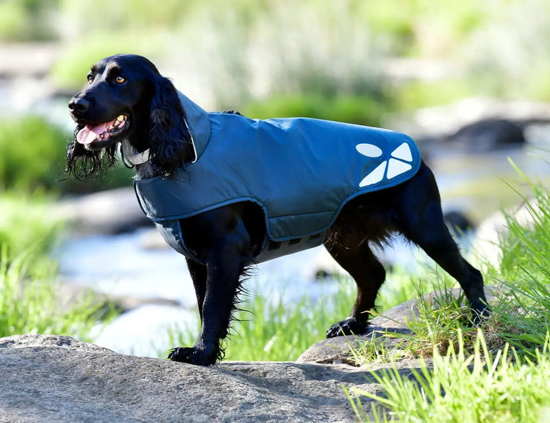 WeatherBeeta Explorer Lite Dog Coat by WeatherBeeta