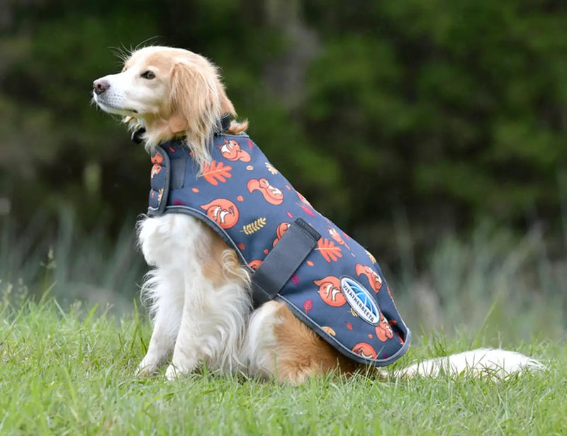WeatherBeeta ComFiTec Premier Free Parka Dog Coat Medium by WeatherBeeta