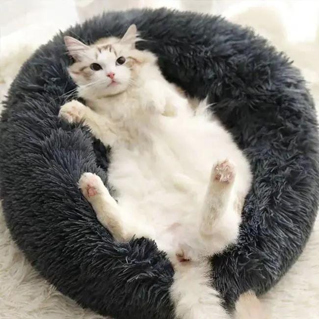 Brooklyn® Deep Sleep Cat Bed by The Brooklyn
