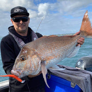 Catch Catch Black Label Livies Catch Blk Label Livies pk 4x7" Glowing Gurnard