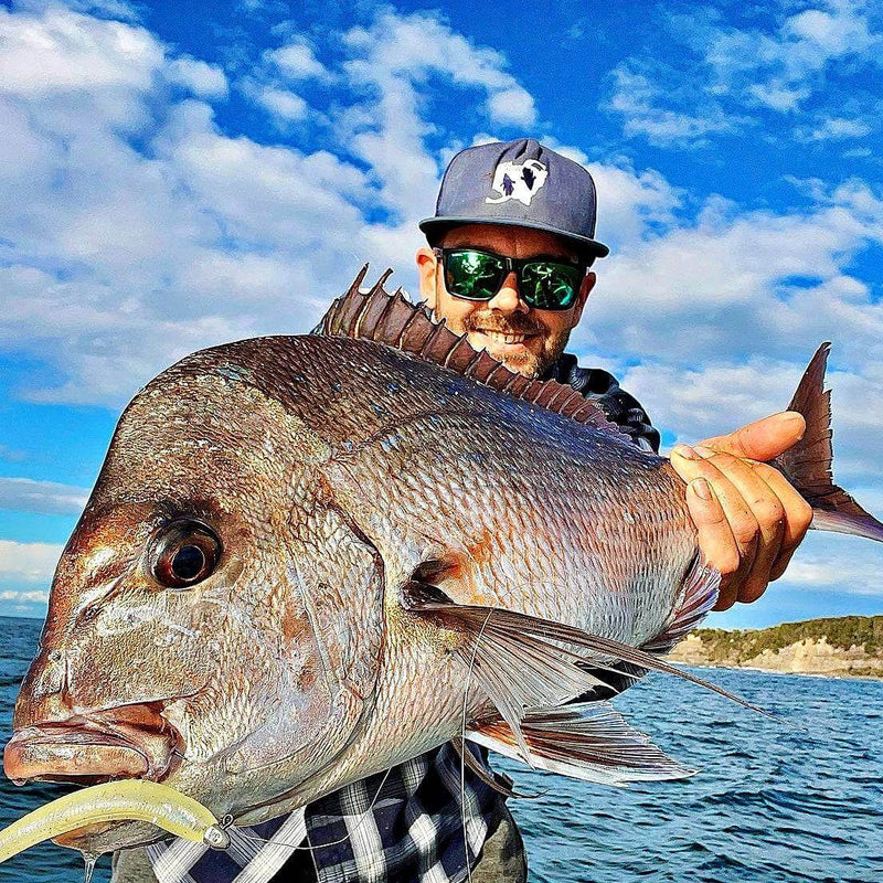 Catch Catch Black Label Livies Catch Blk Label Livies pk 4x7" Orange Assassin