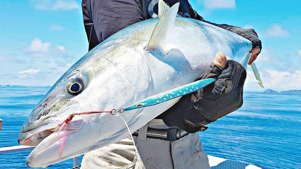 Catch Double Trouble Ballistic Blue (Blue/Silver) / 60g Double Trouble