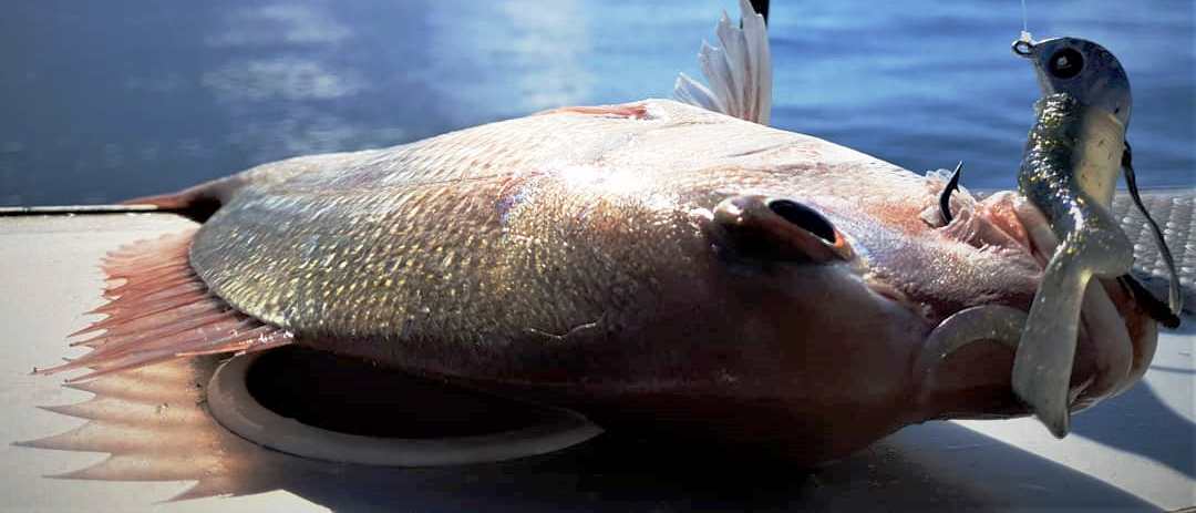 Catch General Catch Stingaz Elevator Jighead 7/0 112g 2Pk