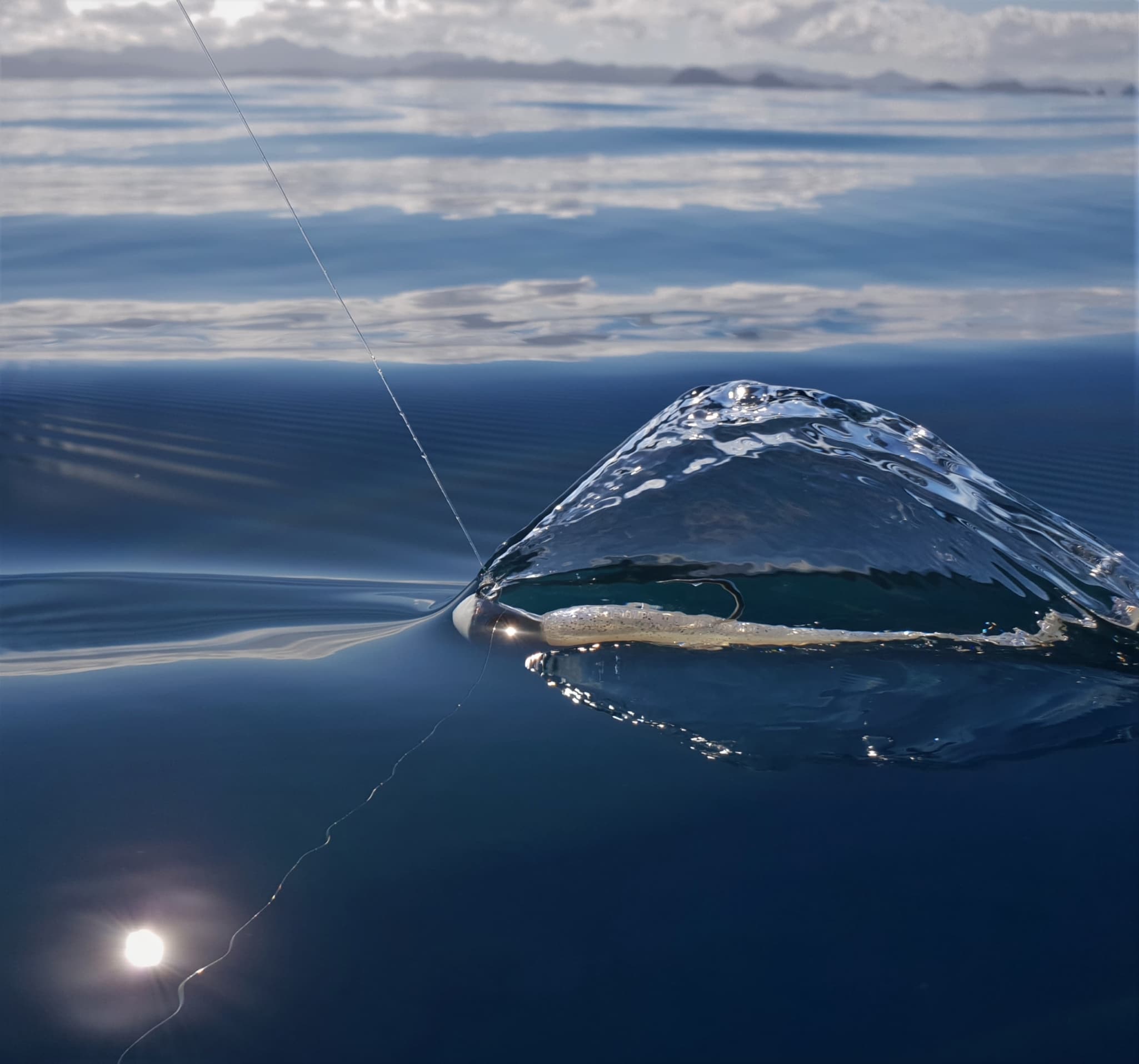 Catch Jig Heads Catch Stingaz Tenya Jig Heads with Gripper 28g