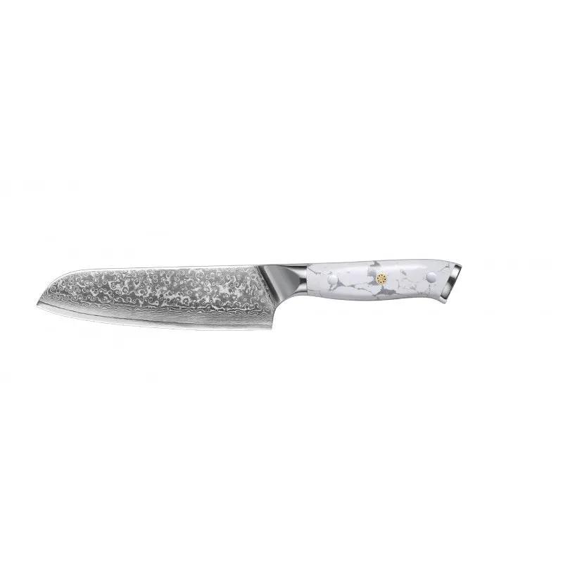 Damascus Special Household Combined Chef's Knife Chef Knife by China Dropship