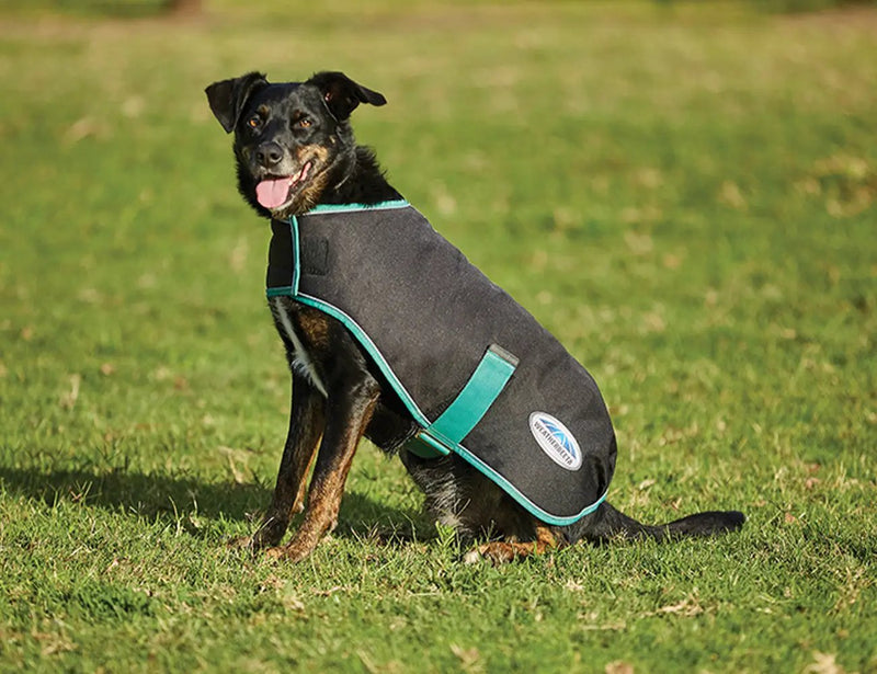 WeatherBeeta Green-Tec 900D Dog Coat Medium by WeatherBeeta