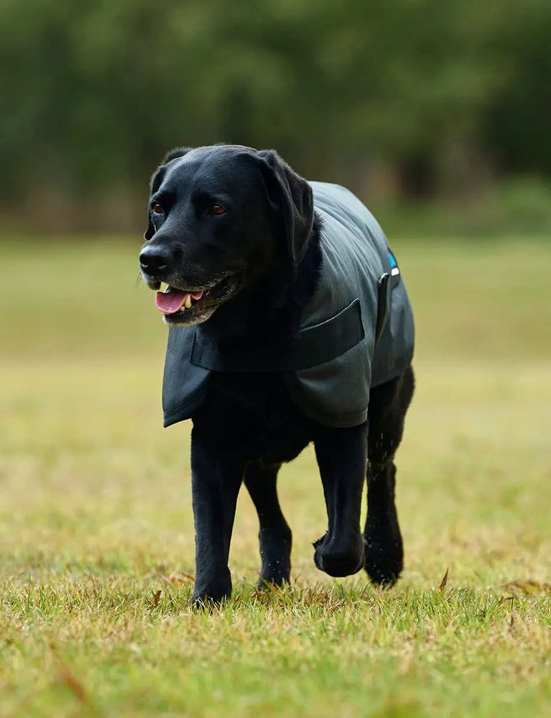 WeatherBeeta ComFiTec Classic Waterproof Dog Coat by WeatherBeeta