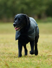 WeatherBeeta ComFiTec Classic Waterproof Dog Coat by WeatherBeeta