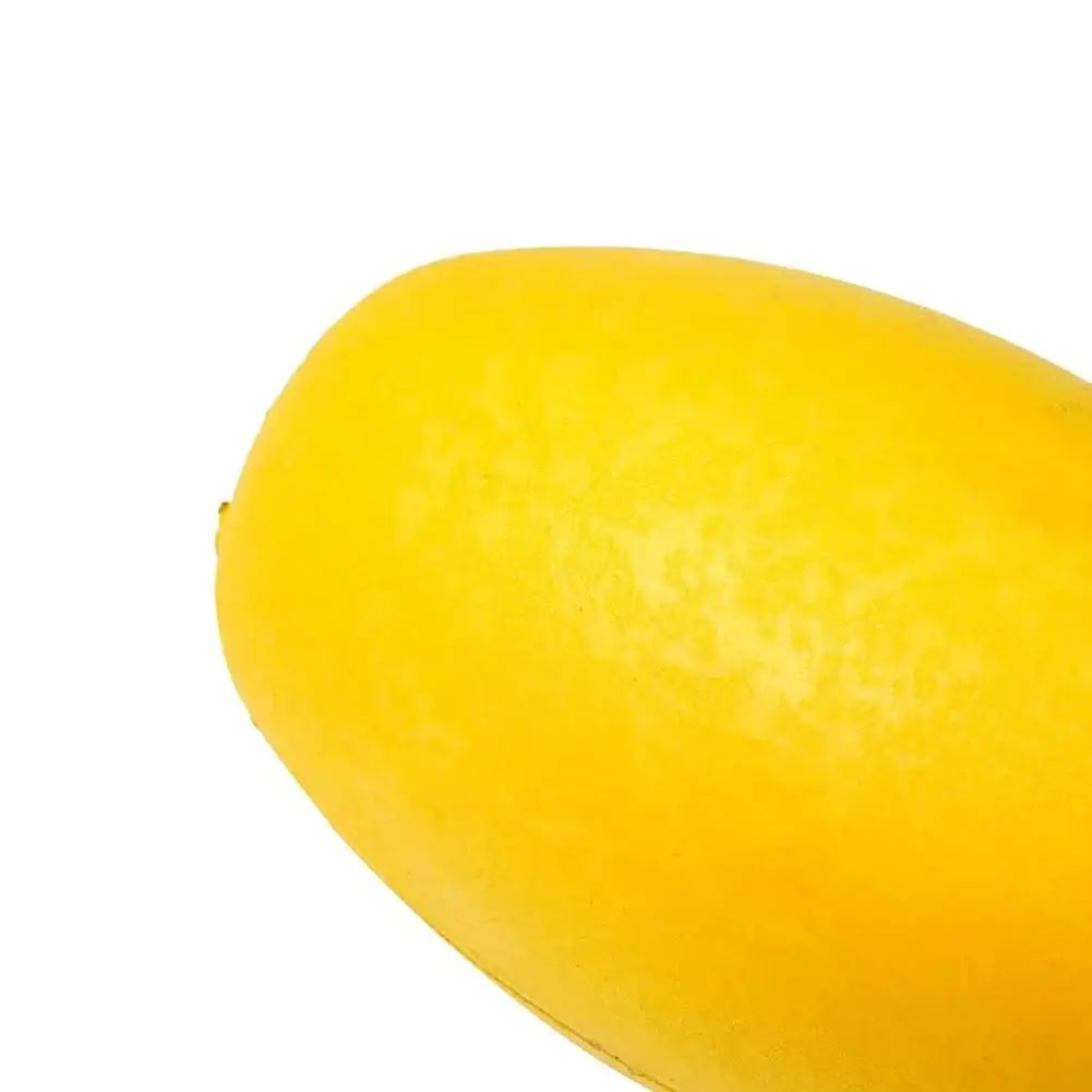 China Action Fishing Nets 5pcs Fishing Net Buoys Pool Line Buoy Float Anti-Collision EVA Elastic Rope Buoy Float Fishing Tools Pesca Fishing Accessories