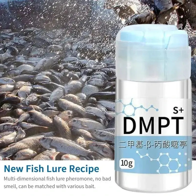 China Action Fishing Nets CHINA DMPT fish Attractant fish bait Irresistible Scent Gel for fishing crucian carp Water-Soluble bait Fishing Accessories Enhancer