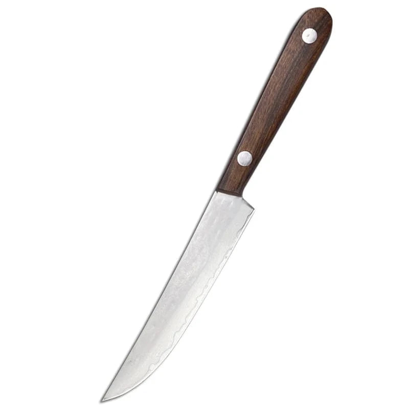China China 67 layer Damascus Steel Steak Knife Kitchen Utility Cleaver Boning Knife Sushi Barbecue Cutting Fishing Knife Paring Tools