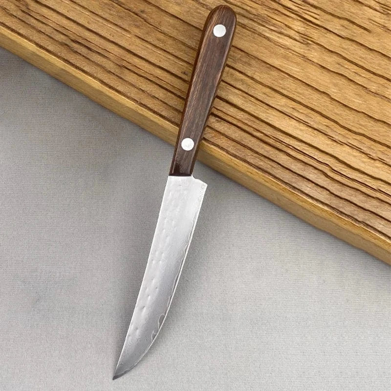 China China 67 layer Damascus Steel Steak Knife Kitchen Utility Cleaver Boning Knife Sushi Barbecue Cutting Fishing Knife Paring Tools