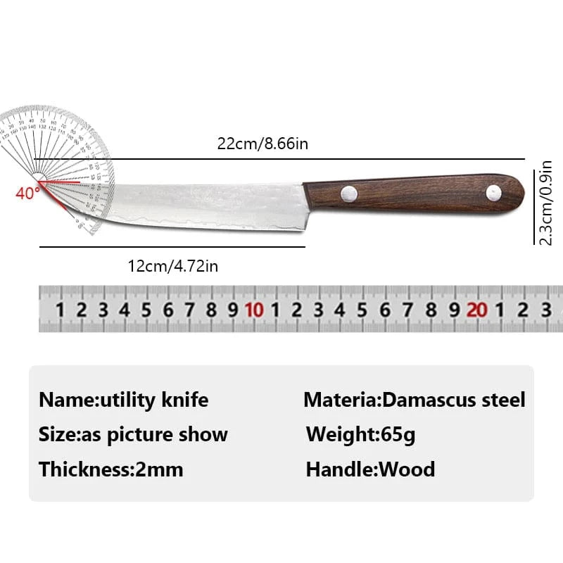 China China 67 layer Damascus Steel Steak Knife Kitchen Utility Cleaver Boning Knife Sushi Barbecue Cutting Fishing Knife Paring Tools