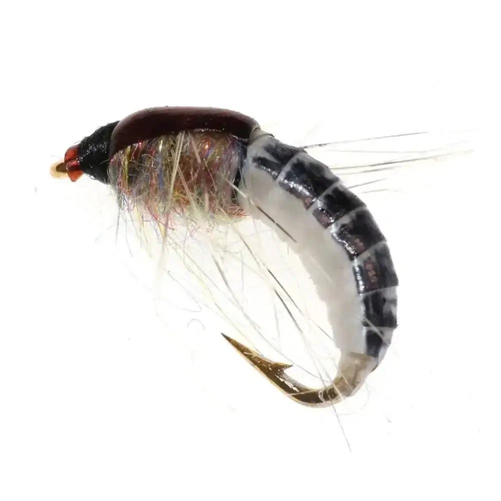 China China 6pcs 6PCSTrout Fishing Realistic Nymph Scud Fly Nymphing Artificial Insect Baits Flying Lure Fishing Accessories