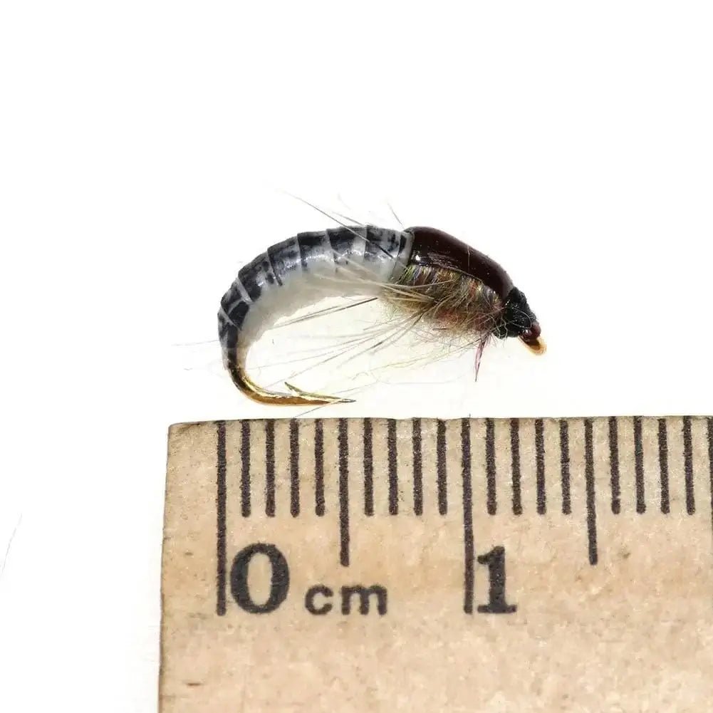 China China 6pcs 6PCSTrout Fishing Realistic Nymph Scud Fly Nymphing Artificial Insect Baits Flying Lure Fishing Accessories