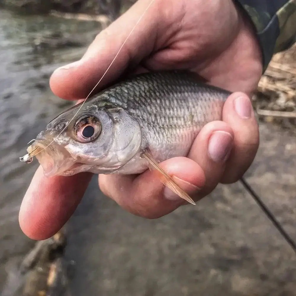 China China Elite TG 10PCS Tungsten Ball Ice Jig 2.5mm-8mm,0.1g-4.89g Hayabusa Ice Hooks for Bass Crappie Perch Lures Winter Fishing Tackel