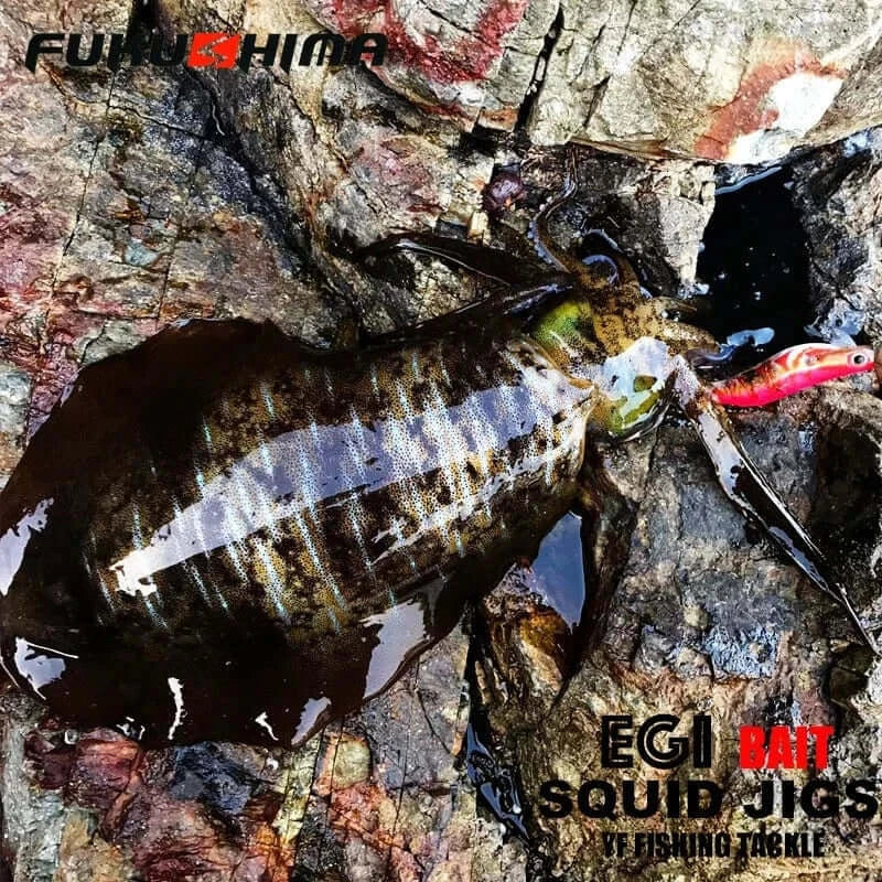 China China FUKUSHIMA 2-3.5 SQUID JIGS EGI LURE FISHING WOOD SHRIMP BAIT CUTTLEFISH OCTOPS GLOW TAIL SHARP HOOKS 21GRAM ROCK & BOAT FISHING