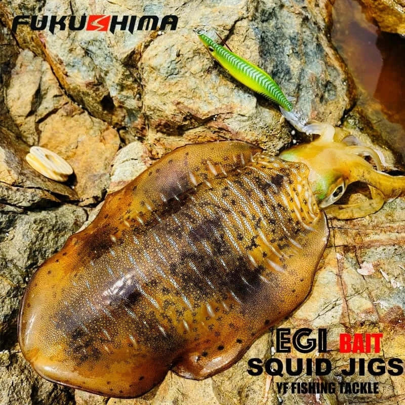 China China FUKUSHIMA 2-3.5 SQUID JIGS EGI LURE FISHING WOOD SHRIMP BAIT CUTTLEFISH OCTOPS GLOW TAIL SHARP HOOKS 21GRAM ROCK & BOAT FISHING