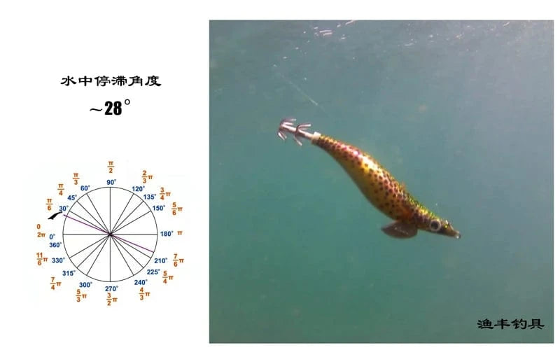 China China FUKUSHIMA 3.5 SQUID JIGS EGI LURE FISHING WOOD SHRIMP BAIT CUTTLEFISH OCTOPUS GLOW SOUND SHARP HOOKS  SILK SKIN 19GRAMS SHALLOW
