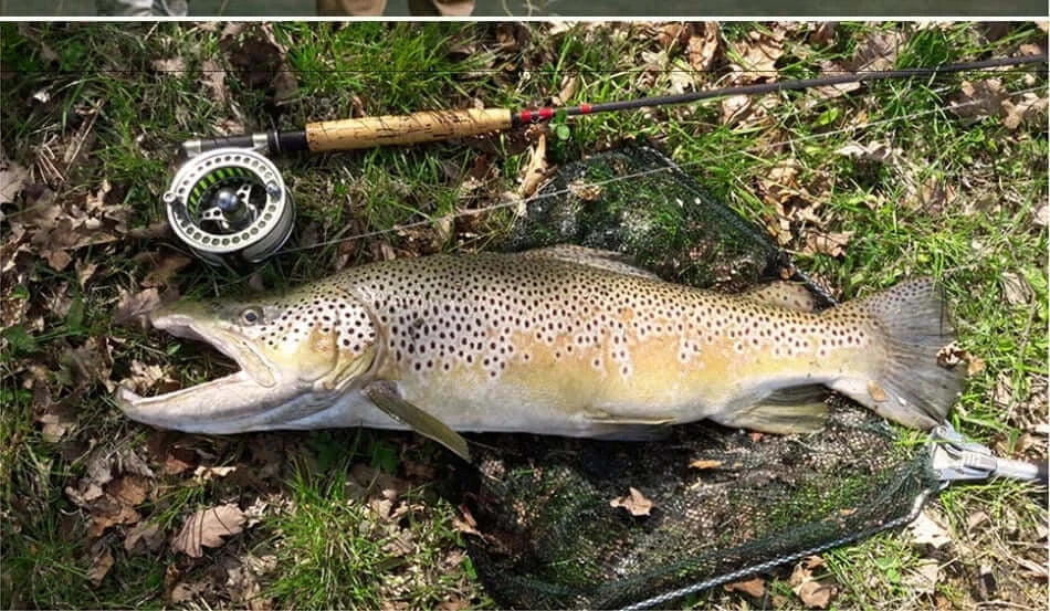 China China Goture 3/4 5/6 7/8 9/10 WT Fly Fishing Reels CNC-machined Large Arbor Fly Reel 2+1BB 1:1 For Trout Pike Carp Fishing Accessories