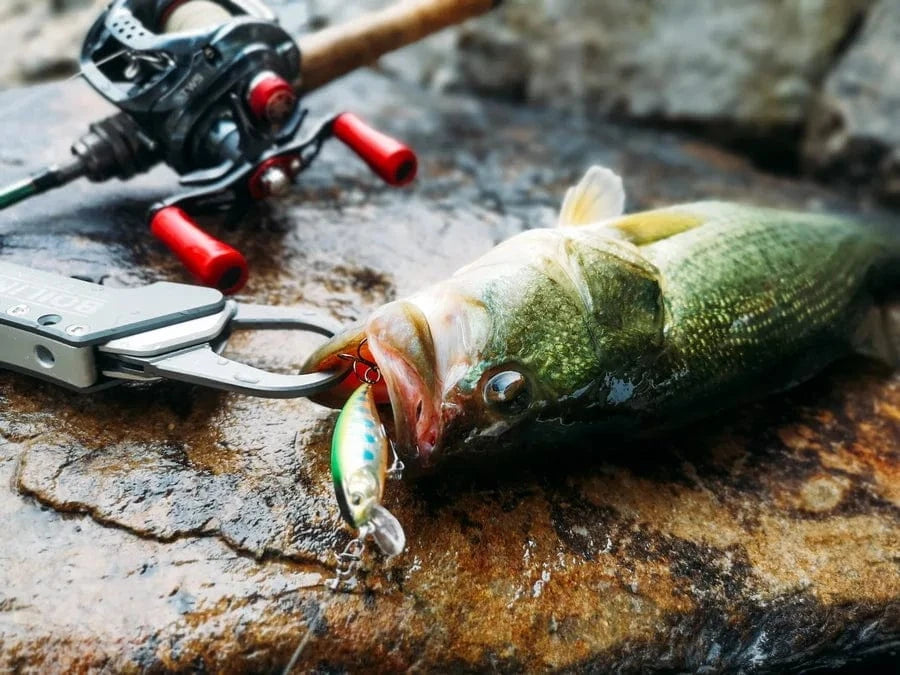 China China Japan Hot Model Sinking Minnow Fishing Lures 52mm 4.5g Jerkbait Bass Pike Carkbait Wobblers Swimbait Professional Hard Bait