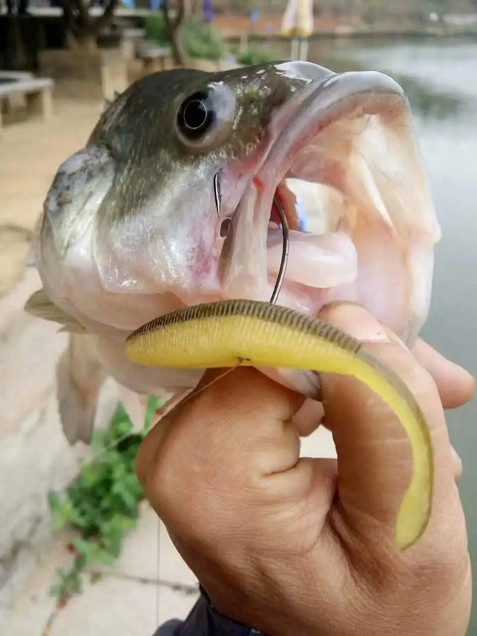 China China KESFISHING Artificial Silicone Soft Baits Drive Shad 4" Bass Pike Shrimp Scented Salts Pesca Fishing Lures Tackle