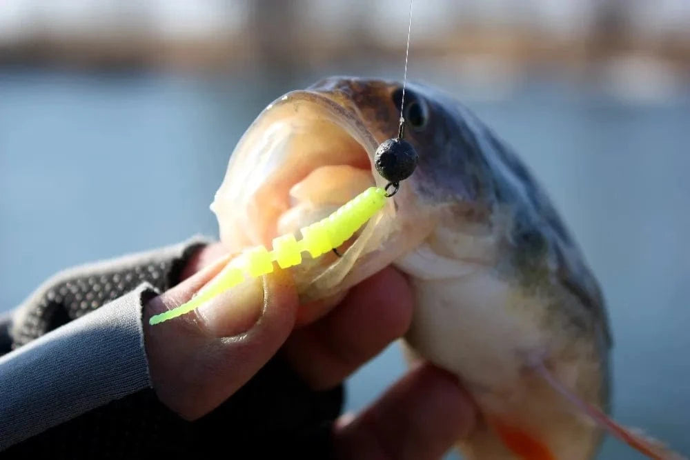 China China KESFISHING Jig Worm Lures Polaris 42mm Pesca Bass Trout Winter Ice Fishing Injection Salts and Scents Soft Baits