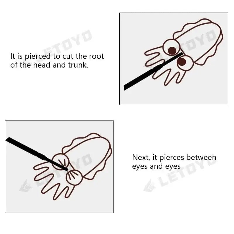 China China LETOYO Squid Nerve Cord Cut Fishing Tools Correct squid jig hook Stainless Steel Squid Knife for Webfoot Octopus Cuttlefish