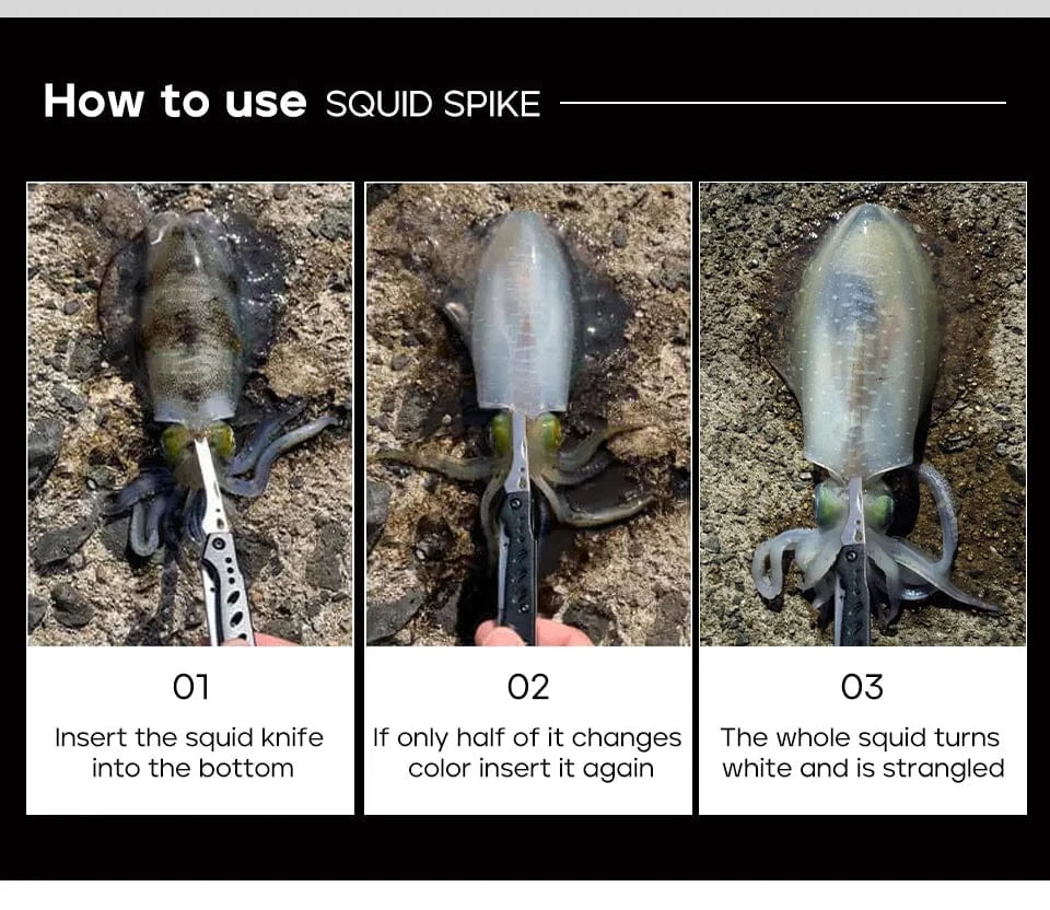 China China LETOYO Squid Nerve Cord Cut Fishing Tools Correct squid jig hook Stainless Steel Squid Knife for Webfoot Octopus Cuttlefish