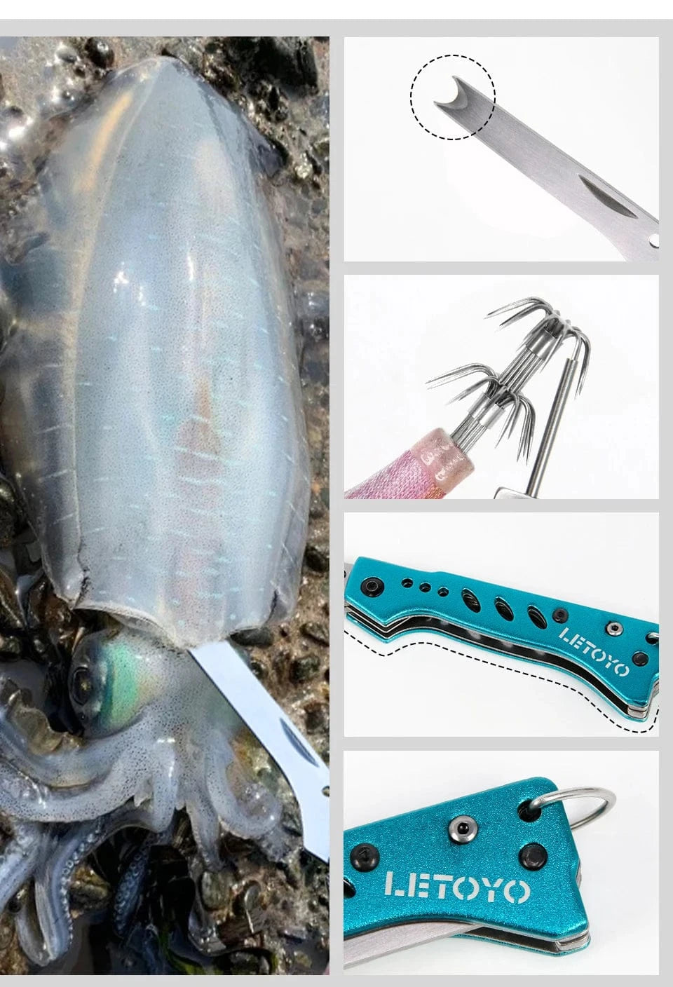 China China LETOYO Squid Nerve Cord Cut Fishing Tools Correct squid jig hook Stainless Steel Squid Knife for Webfoot Octopus Cuttlefish