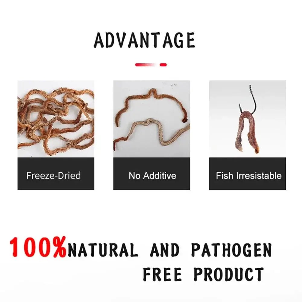 China China Lifelike Dry Lugworm Sandworms Fishing Lures Saltwater Freshwater Feeder Sea Fishing Worms Smell Soft Artificial Bait Accessorie