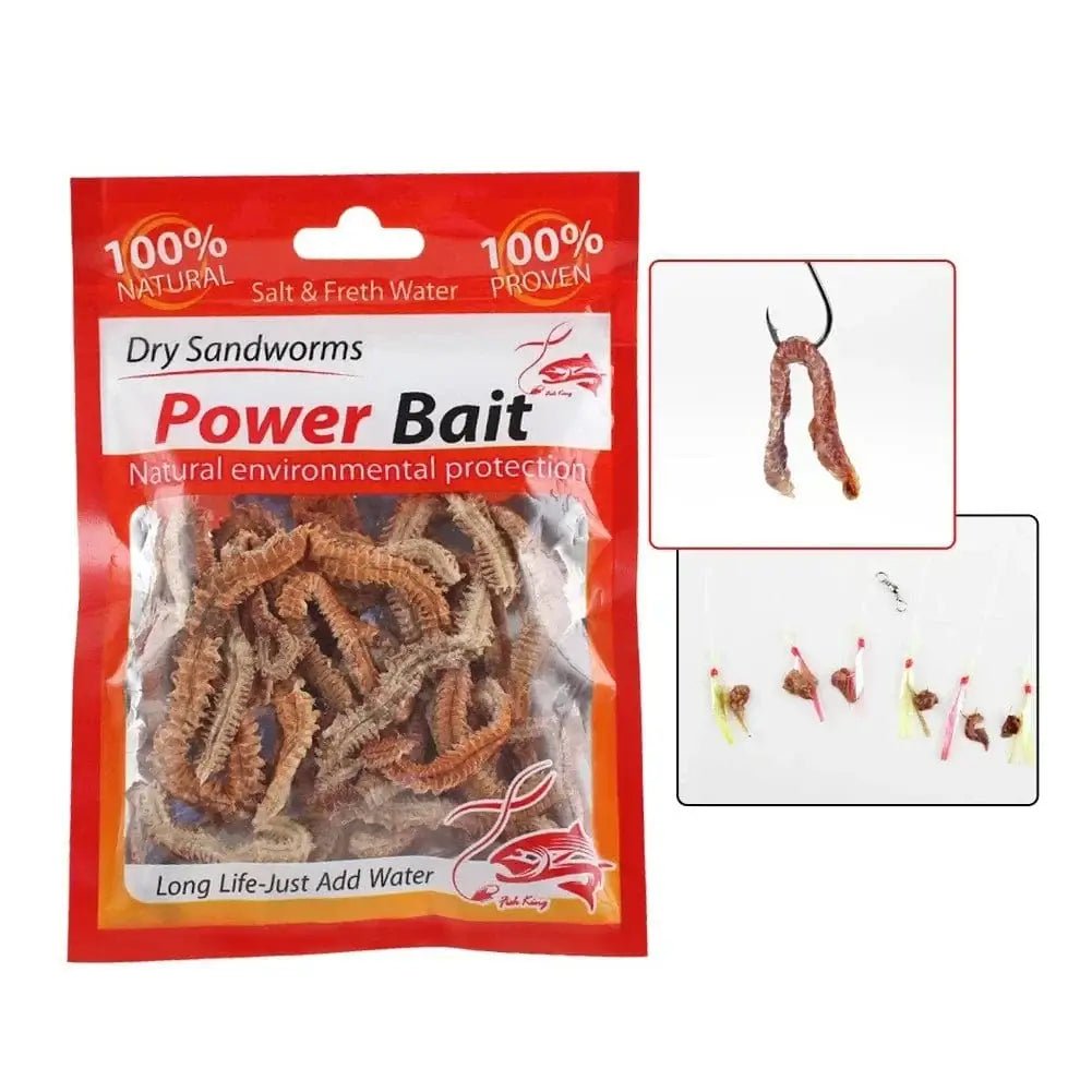China China Lifelike Dry Lugworm Sandworms Fishing Lures Saltwater Freshwater Feeder Sea Fishing Worms Smell Soft Artificial Bait Accessorie