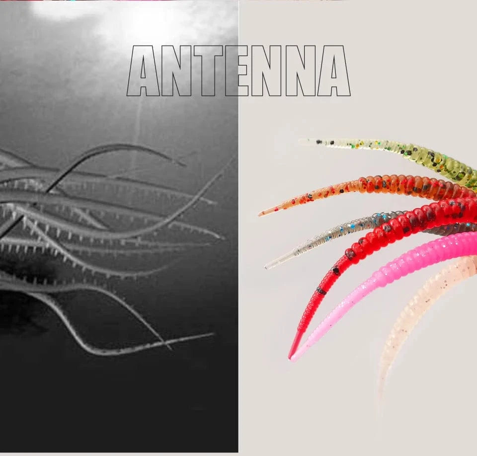 China China LUREHOLIC 0-2.5” Free Cut Aji Fishing ROCK ADDER Fineese Lure Fishing Soft Lure Needle Tail Mini