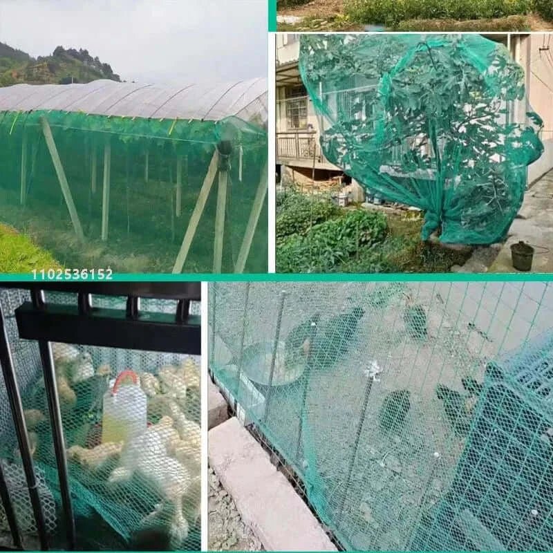 China China no-knots net Bird-proof Grape Cherry Net mesh 5mm Fruit Tree Bird-proof Net Orchard Fishing net cloth Hail-proof Net