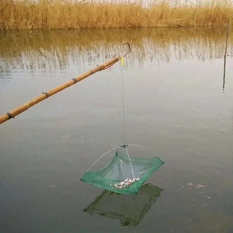 China China Portable 60/80/100cm Fishing Net Foldable Large Landing Fish Mesh Outdoor Large Capacity Fishing Net For Shrimps Carps Crucians