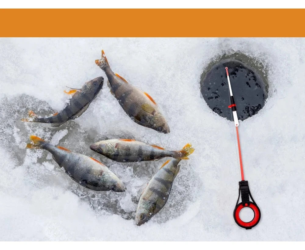 China China rod FISH KING 2 Section Mini Winter Fishing Rod Set Plastics Ice Fishing Spinning Rod Travel Bass Pike