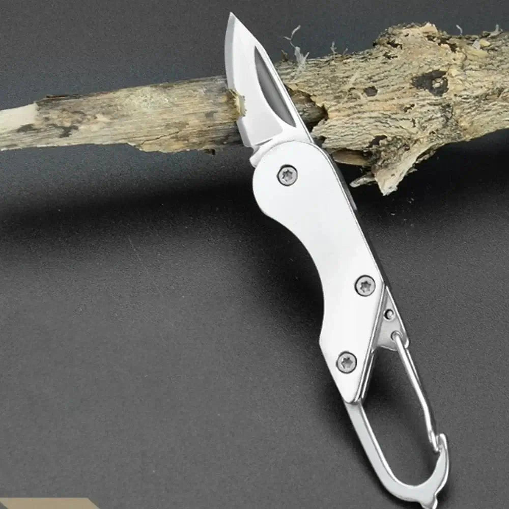 China China silvery Mini High Hardness All Steel Portable Folding Knife Outdoor Camping Knives Fishing Knife Keychain Unboxing Knives